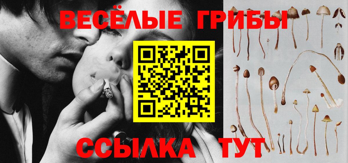 Псилоцибиновые грибы мицелий  Галлюциногенные грибы Psilocybe  Волжский  Вход с VPN 